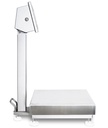 Diniargeo TSE plate-forme Monocapteur Inox HYGIENX